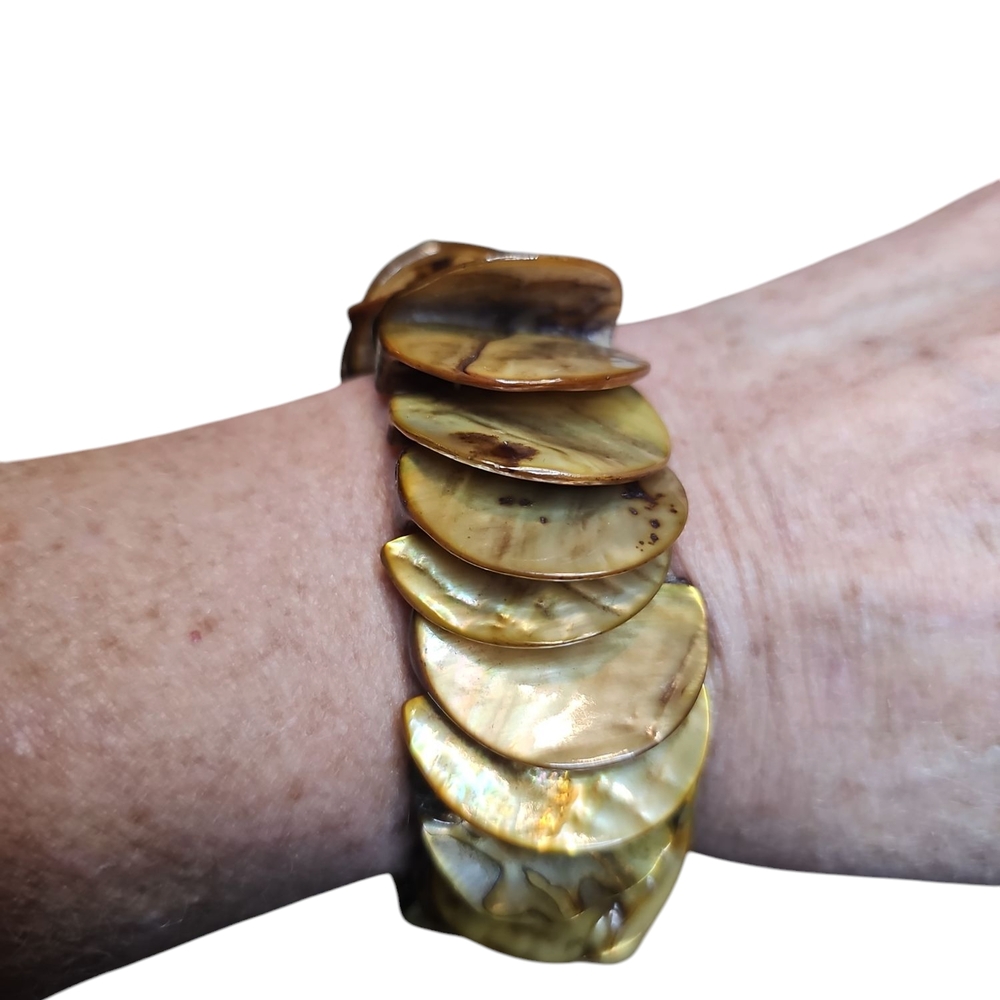 Paua Natural Shell Bracelet with Earthy Tones